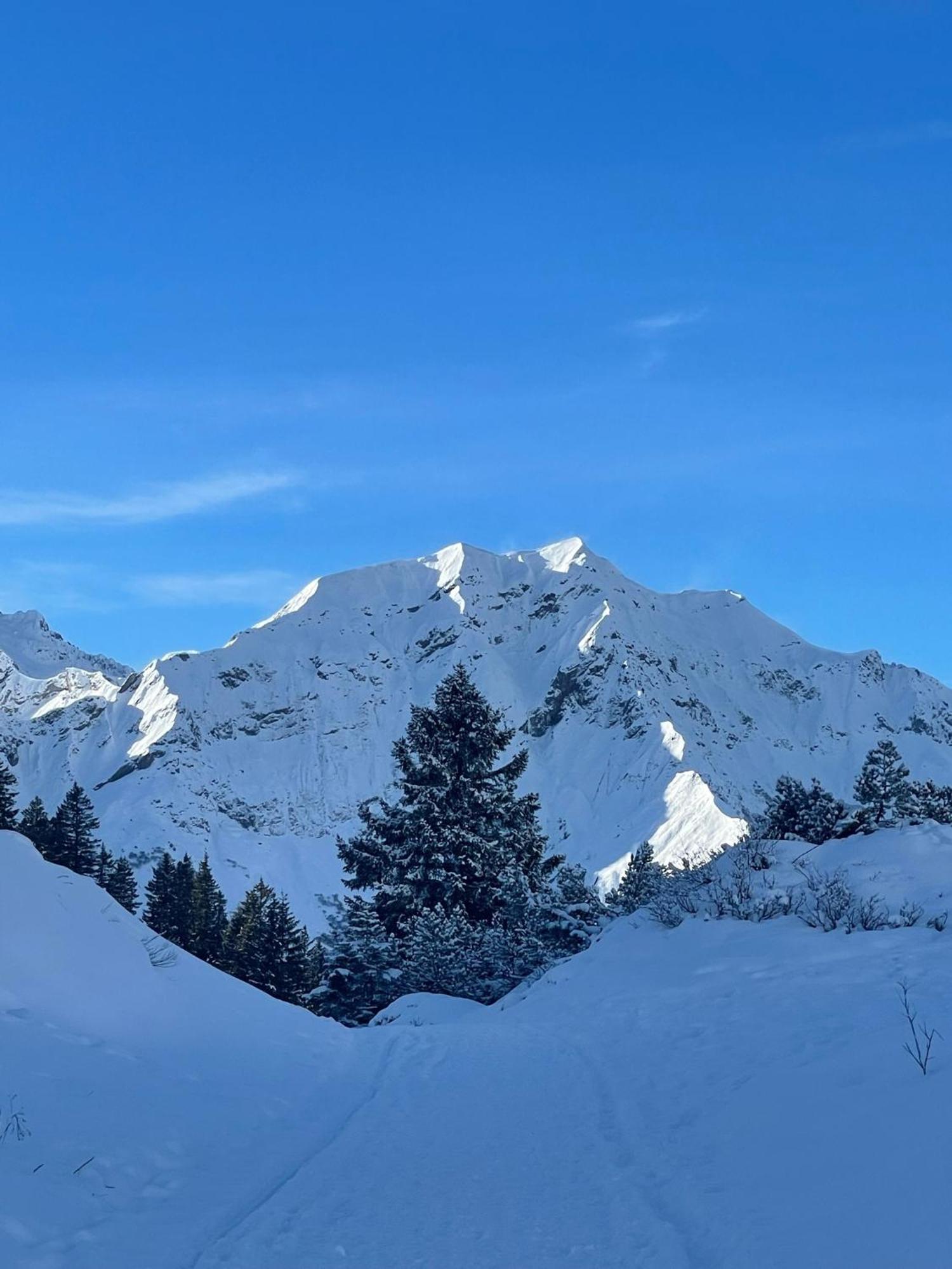 Top 40 Haus Sonnalp Lägenhet Warth  Exteriör bild